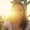 Photo of Tessia B.