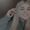 Photo of Anissa P.