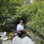 google avatar
