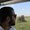 Photo of Navid N.