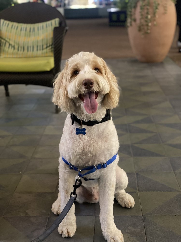 Yelp user Jennifer R.