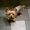 Photo of Sammy C.