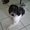 Photo of Wilma F.