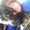 Photo of Debi S.