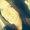Photo of Brittney S.