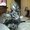 Photo of Aleeza Q.