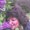 Photo of Judy A.