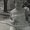 Photo of Pattie C.