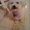 Photo of Evette A.