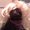Photo of Marni P.