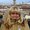 Photo of Marianne T.