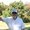 Photo of Charles S.