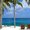 Photo of Trista R.