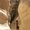 Photo of Marie H.