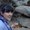 Photo of Heather Q.