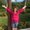 Photo of Sherry C.