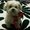 Photo of Mya N.