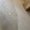 Photo of Fitim B.