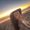 Photo of Soraya Z.
