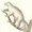 Photo of Regina H.