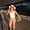 Photo of Jessica C.
