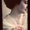 Photo of Evie M.