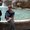 Photo of Dermot A M.