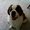 Photo of Brogan A.