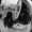 Photo of anessa m.