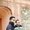 Photo of Manav P.