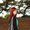Photo of Carleen M.