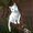 Photo of Sinee G.