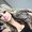 Photo of Micaela S.