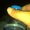 Photo of Feri T.