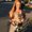 Photo of Kristen M.