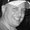 Photo of Darrell F.