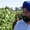 Photo of Hardeep A.