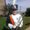 Photo of Connor M.