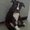 Photo of Lannie C.