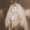 Photo of Kathryn C.