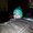 Photo of Miera M.