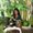 Photo of Komal S.