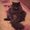 Photo of Qype User (dAvIdf…)