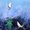 Photo of Qype User (quewn1…)