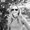 Photo of Shawnna R.