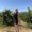 Photo of Shailee S.