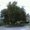 Photo of Adnan M.
