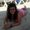 Photo of Jenifer L.