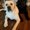 Photo of Timothy J.