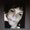 Photo of Judi A.